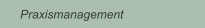 Praxismanagement